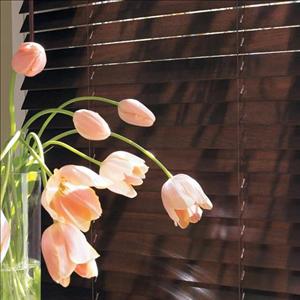 Country Woods Wood Blinds